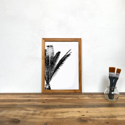 「モノクロアート Cycas」A4 モノトーン ポスター & 木製 アンティーク 額縁 セット 4枚目の画像
