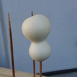 乾燥ひょうたん（苗～網掛け～浸水～完成） その他素材 Lunye 通販