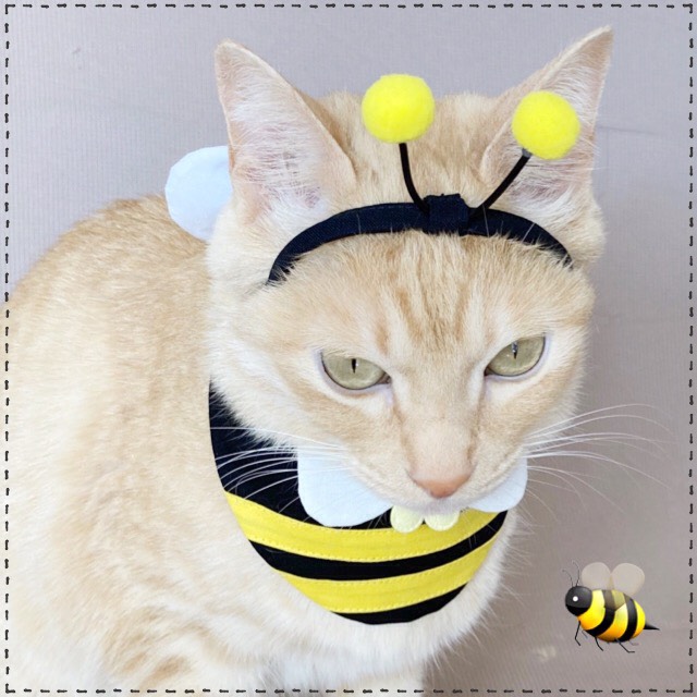 送料無料☆彡なりきりみつばち♡はちのコスプレ風〜猫の首輪 ペット服  