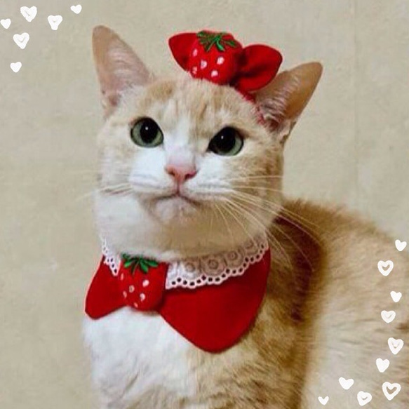送料無料☆彡イチゴ苺いちご♡リボンカチューシャ〜猫のカチューシャ 3枚目の画像