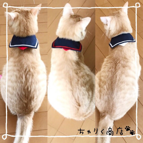 送料無料☆彡大人気！レトロなセーラー服風〜猫の首輪（セーラーカラー