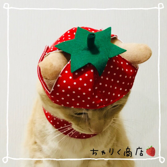 送料無料☆彡なりきりいちご苺イチゴ♡いちごのコスプレ風〜猫の首輪 3枚目の画像