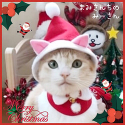 送料無料☆彡 クリスマス☆サンタコス風〜猫の首輪 3枚目の画像