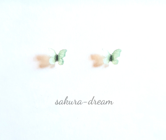 緑色蝶々のピアス 小さなバタフライ サージカルステンレス アレルギー対応  オフィスピアス 2枚目の画像