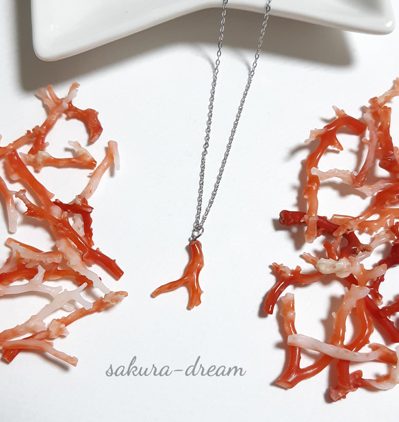 血赤珊瑚のネックレス(土佐沖産) 天然色赤珊瑚 サージカルステンレス  