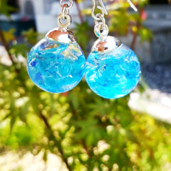 ピアス　青　ブルー　海　水色　夏　祭り　パール　ハーバリウム　ガラスドーム ピアス 青 ブルー 海 水色 夏 祭り パール ハーバリウム ガラス