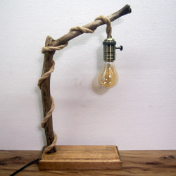 【癒しの灯り】流木とロープ調電気コードのスタンドライト 1枚目の画像