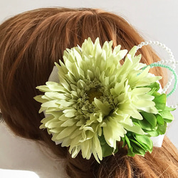 0_0ac846c0ec88a8bf4e2e0511898b