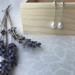 天然淡水真珠--- --- 925純銀製のイヤリングはシンプルな真珠ドロップドレープを気質 1枚目の画像
