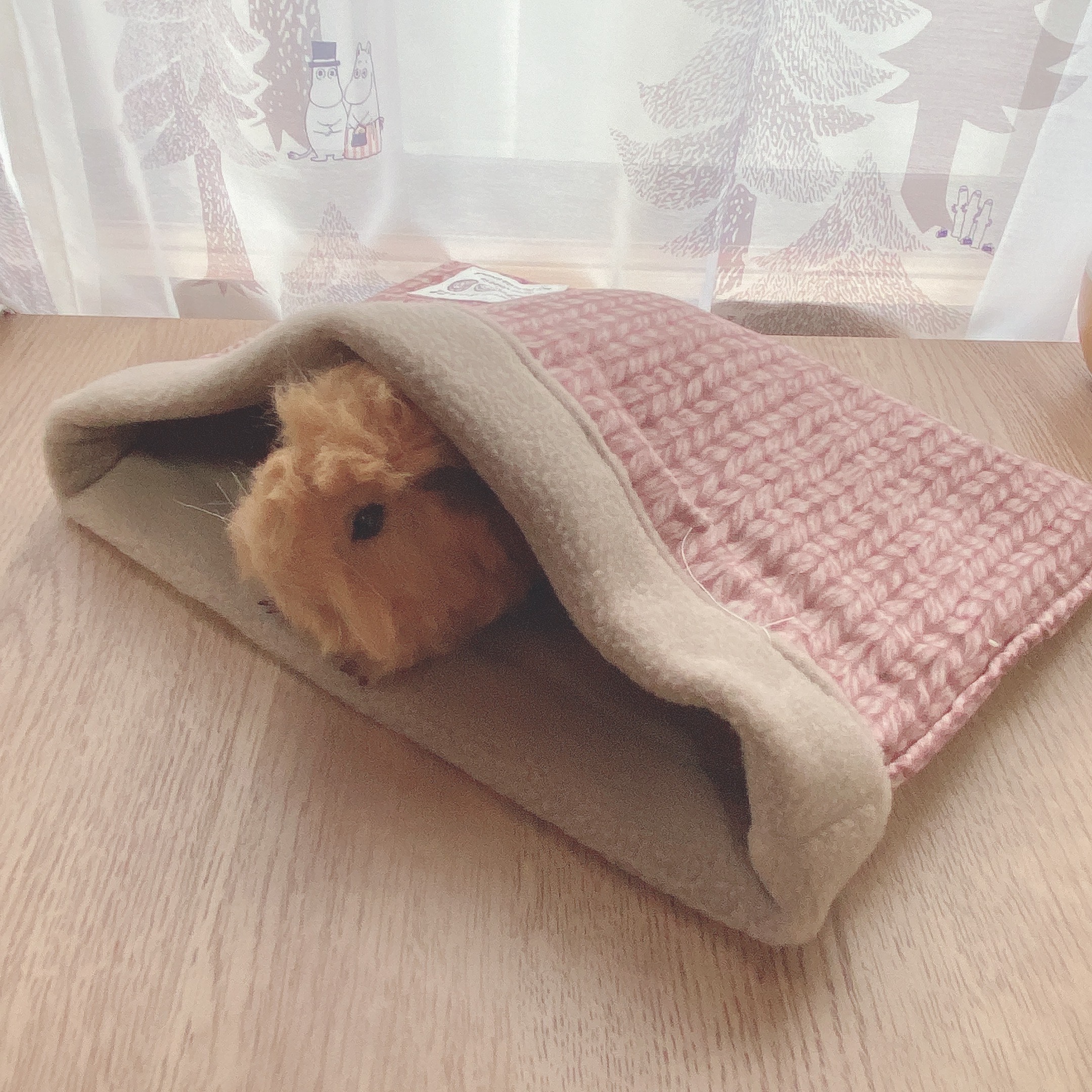 ハリネズミ寝袋 55 ラビット