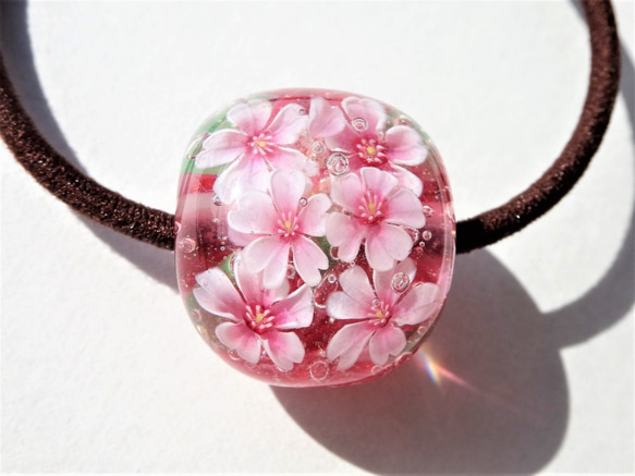 “櫻花”頭髮玻璃蜻蜓球花春天的櫻花 第2張的照片