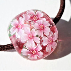 “櫻花”頭髮玻璃蜻蜓球花春天的櫻花 第3張的照片