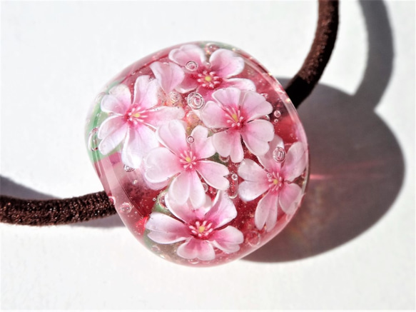 “櫻花”頭髮玻璃蜻蜓球花春天的櫻花 第3張的照片