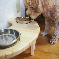 犬 猫 テーブル 1枚目の画像