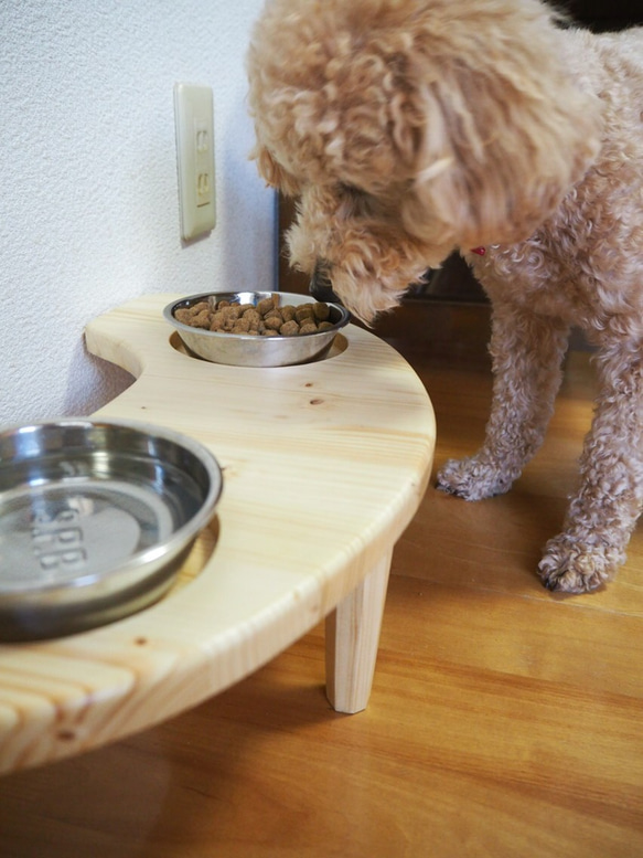 犬 猫 テーブル 1枚目の画像