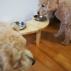 犬 猫 テーブル 2枚目の画像