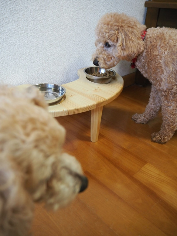 犬 猫 テーブル 2枚目の画像