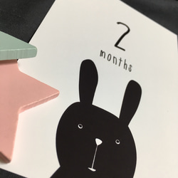 3歳まで使える☆モノトーン動物柄☆月齢カード☆ 2枚目の画像