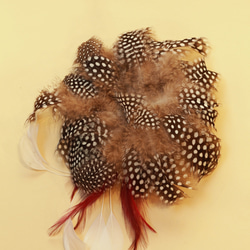 ヘッドドレス　「ホロホロ鳥のフェザー」 2枚目の画像