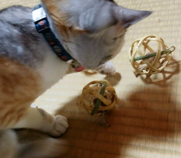 三種のにゃん器　～竹製猫おもちゃ３点セット～ 5枚目の画像