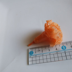 ミニカーネーション：シャーベットオレンジ 2枚目の画像