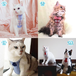 猫用ハーネス（4サイズ・リードつき）シャツ＆ネクタイ　グレー 5枚目の画像