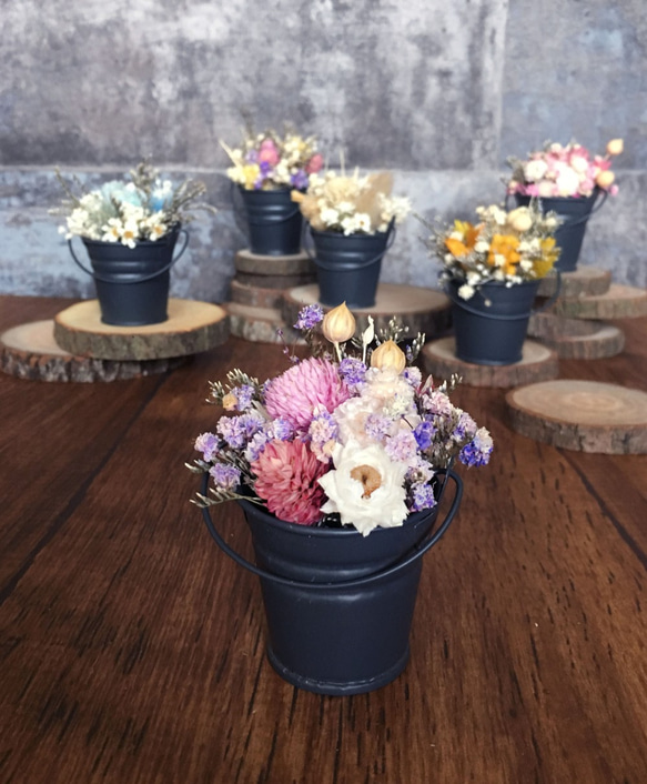 |迷你盆花訂製| 迷你鐵桶小盆花。乾燥花。特別訂製。日常小禮物。書桌上的小風景 第1張的照片