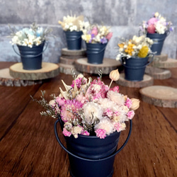 |迷你盆花訂製| 迷你鐵桶小盆花。乾燥花。特別訂製。日常小禮物。書桌上的小風景 第4張的照片