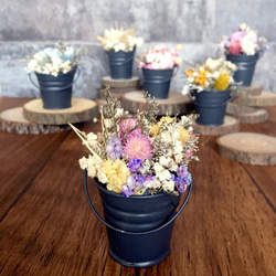 |迷你盆花訂製| 迷你鐵桶小盆花。乾燥花。特別訂製。日常小禮物。書桌上的小風景 第7張的照片