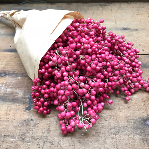 17束全部♡ピンク♡ペッパーベリー♡1番人気♡ドライフラワー♡素材