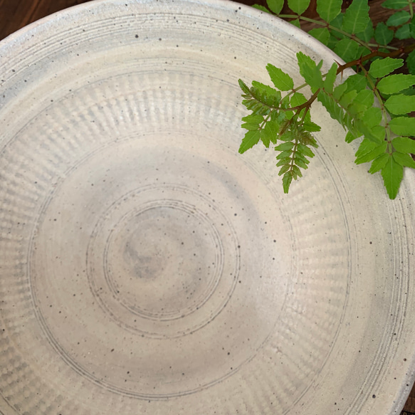 【白三島】三島刷毛目八寸大鉢 smh-01 2枚目の画像