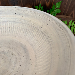 【白三島】三島刷毛目八寸大鉢 smh-01 8枚目の画像