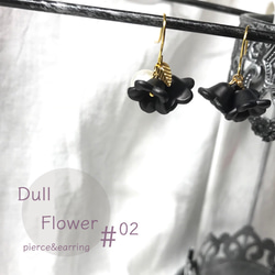 Dull Flower #02 1枚目の画像