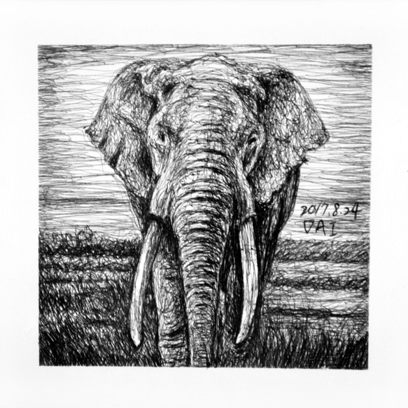 原子筆亂線繪製動物畫像_大象 第1張的照片