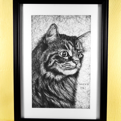 原子筆亂線繪製動物畫像_貓 第2張的照片