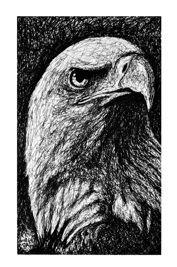 原子筆亂線繪製動物畫像_老鷹(已售出) 第1張的照片