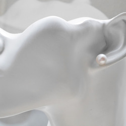 8mm白色珍珠單隻耳環/耳釘（14kgf /可更換樹脂耳釘） 第3張的照片