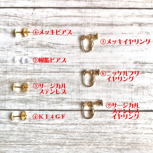 リトルウッズ（バラ）＊S（ピアス・イヤリング） ドライフラワー