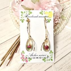 リトルウッズ（バラ）（ピアス・イヤリング） ドライフラワー/レジン