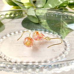 リトルウッズ（バラ）（ピアス・イヤリング） ドライフラワー/レジン