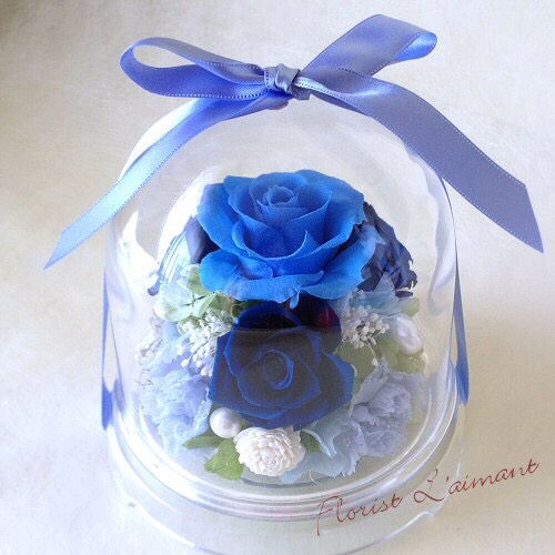 プリザーブドフラワー ドーム バラ カーネーション 結婚祝い プロポーズ 父の日 青いバラ 奇跡 ｜チャーム（ブルー）