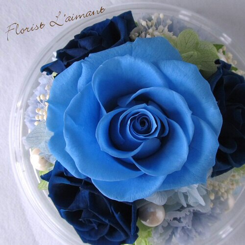 プリザーブドフラワー ドーム バラ カーネーション 結婚祝い