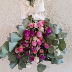 メル86631様ご相談中　ユーカリの500円スワッグ　千日紅を添えて 0_42ab94a50c5b10ac0d64608bb39d