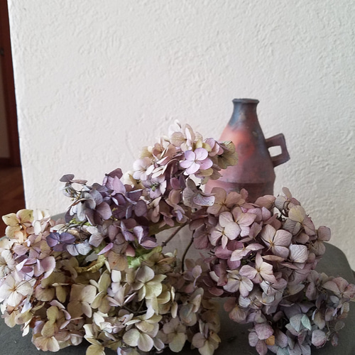 紫陽花ドライフラワー6本セット ドライフラワー GREEN ROSE 通販