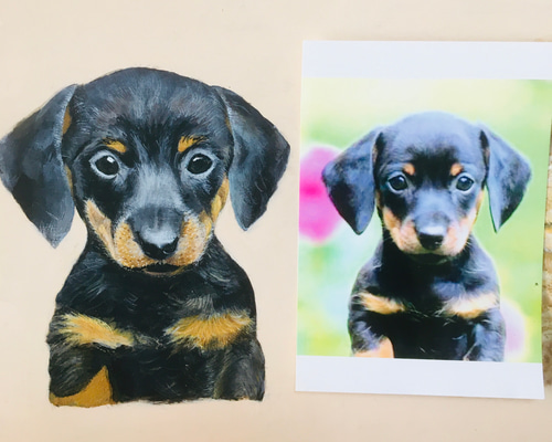 動物多数　トリックアート　上下左右（アクリル絵の具）送料無料 動物多数トリックアート上下左右（アクリル絵の具）送料無料