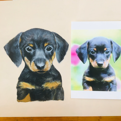 アクリル絵の具の動物画 おもちゃ・ペット小物 チコ 通販