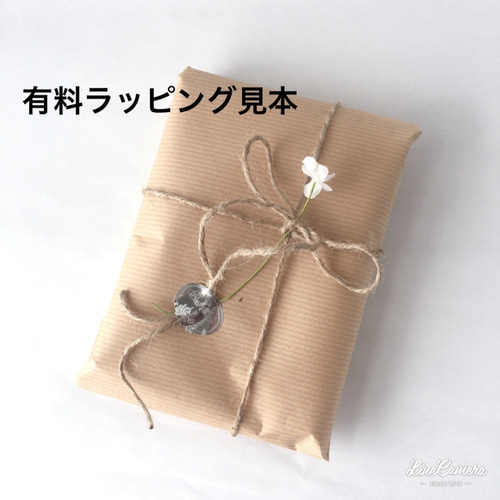 ファスナー付き薬剤師が作る、大きめお薬手帳ケース☆リバティ