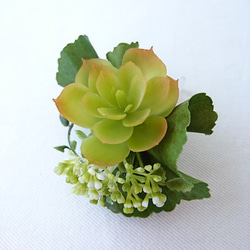 コサージュ [echeveria コサージュ] 3枚目の画像