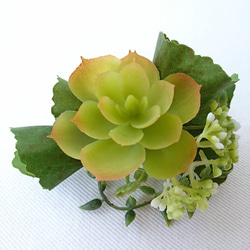 コサージュ [echeveria コサージュ] 5枚目の画像