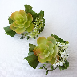 コサージュ [echeveria コサージュ] 6枚目の画像